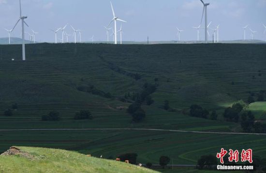 6月28日，河北張家口張北草原上大片風(fēng)力發(fā)電的“風(fēng)車”規(guī)模宏大。 中新社記者 楊艷敏 攝