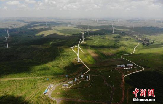 6月28日，河北張家口張北草原上大片風(fēng)力發(fā)電的“風(fēng)車”規(guī)模宏大。 中新社記者 楊艷敏 攝