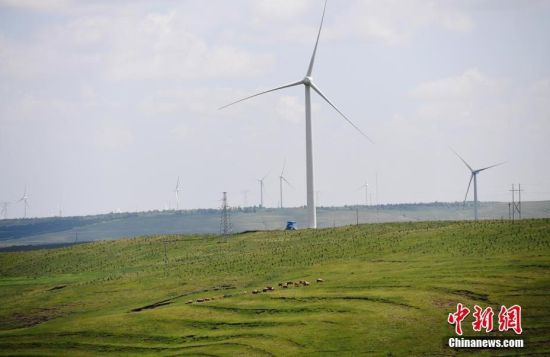 6月28日，河北張家口張北草原上大片風(fēng)力發(fā)電的“風(fēng)車”規(guī)模宏大。 中新社記者 楊艷敏 攝