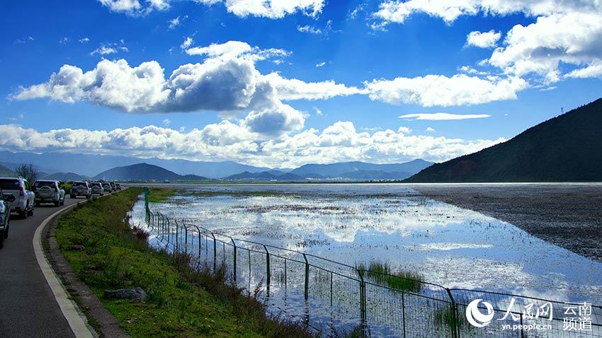 納帕海濕地。呂昊辰攝