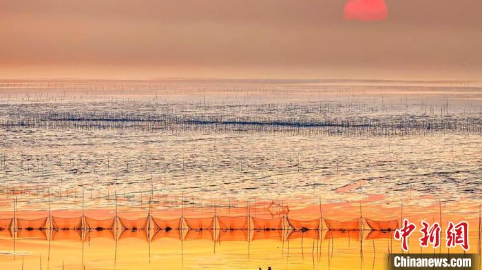 江蘇鹽城被譽為金灘銀蕩、魚米之鄉(xiāng)。　鹽城市委宣傳部供圖