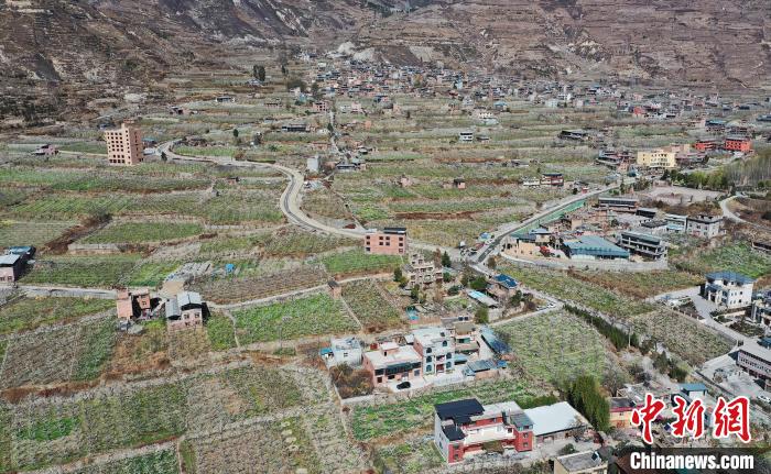 潔白的李花與村寨交相輝映，勾勒出一幅美麗的和諧生態(tài)畫卷?！『吻搴?攝