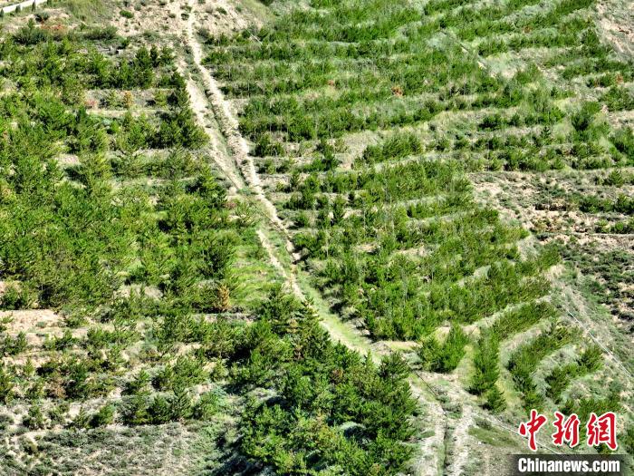 航拍建行青海省分行綠化區(qū)?！∑钤鲚?攝