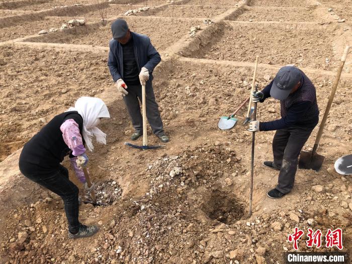 資料圖為建行青海省分行綠化區(qū)施工隊(duì)隊(duì)員處理亂石?！〗ㄐ星嗪Ｊ》中泄﹫D