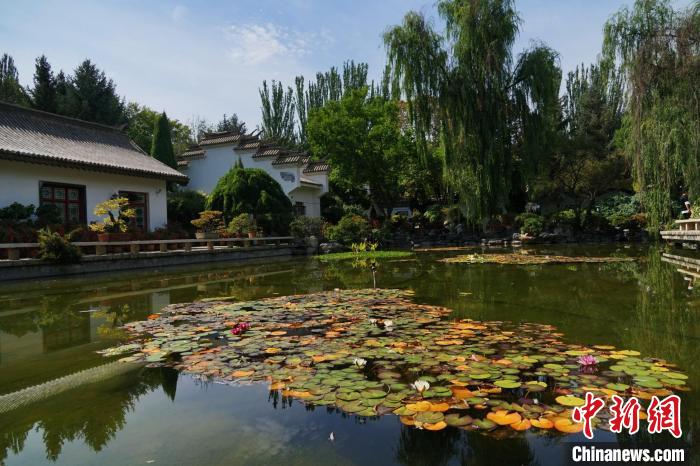 圖為西寧園林植物園秋日風(fēng)景別有韻味?！●R銘言 攝