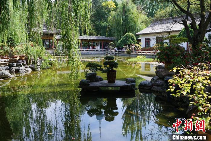 圖為西寧園林植物園秋日風(fēng)景別有韻味?！●R銘言 攝
