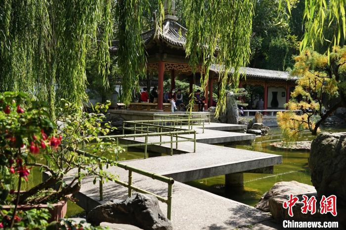 圖為西寧園林植物園秋日風(fēng)景別有韻味。　馬銘言 攝