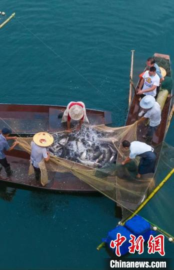 捕魚現(xiàn)場?！≈鬓k方供圖