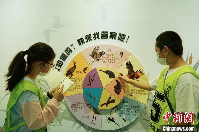 圖為小朋友在青海西寧湟水國家濕地公園科普館內(nèi)參觀學習?！●R銘言 攝