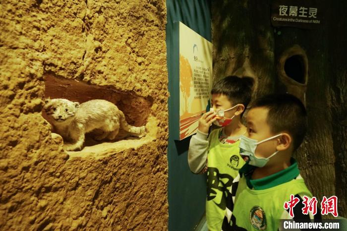 圖為小朋友在青海西寧湟水國家濕地公園科普館內(nèi)參觀學習?！●R銘言 攝