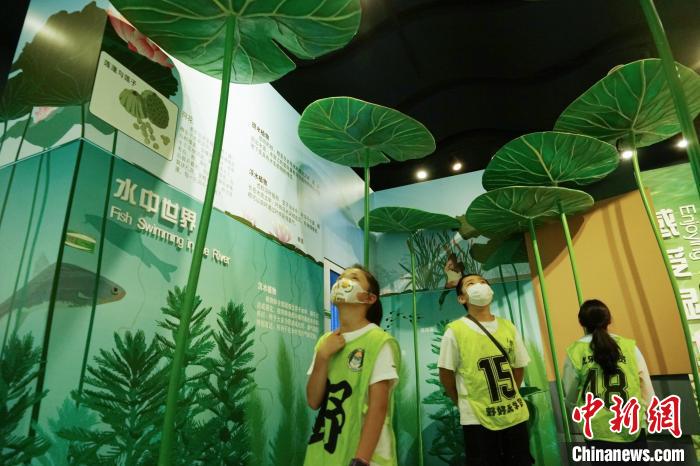 圖為小朋友在青海西寧湟水國家濕地公園科普館內(nèi)參觀學習?！●R銘言 攝