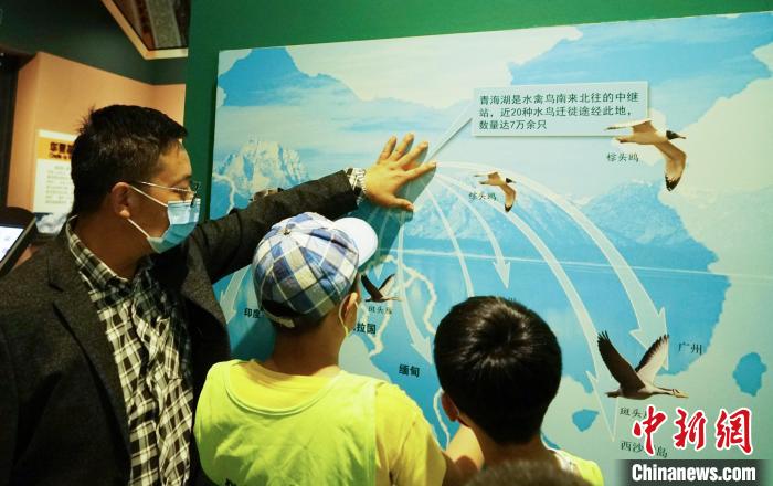 圖為小朋友在青海西寧湟水國家濕地公園科普館內(nèi)參觀學習?！●R銘言 攝