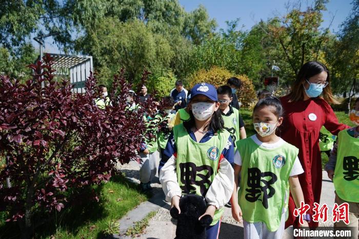 圖為小朋友在青海西寧湟水國家濕地公園內(nèi)認識植物?！●R銘言 攝