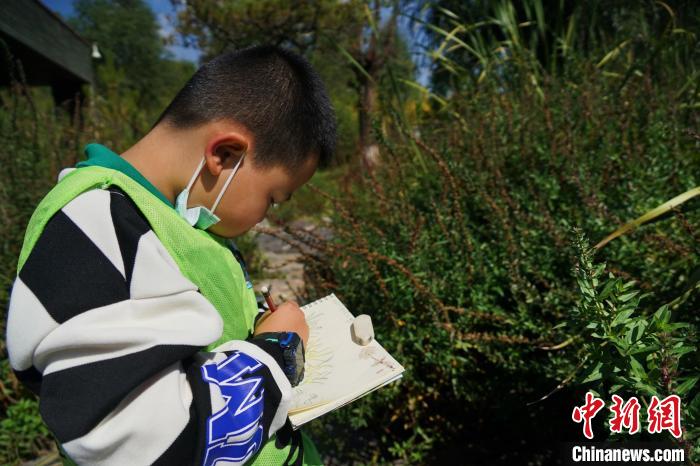 圖為小朋友在青海西寧湟水國家濕地公園內(nèi)認識植物并進行繪畫?！●R銘言 攝