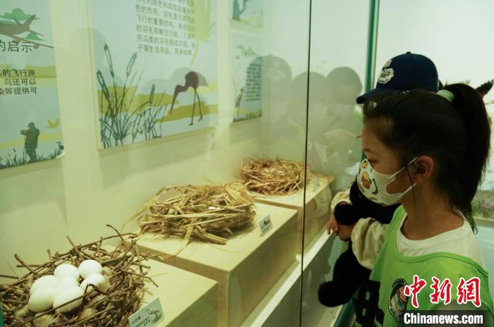 圖為小朋友在青海西寧湟水國家濕地公園科普館內(nèi)參觀學習?！●R銘言 攝