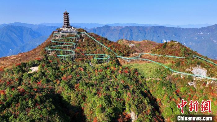 巴山大峽谷彩林迎來最佳觀賞期?！∫κ?攝