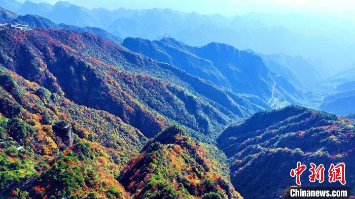 巴山大峽谷彩林迎來最佳觀賞期?！埰?攝