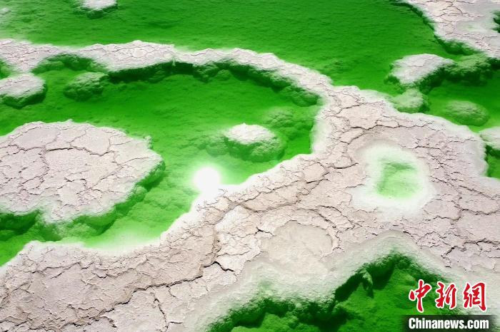 青?！拔鞔箝T”茫崖多舉措蓄能鹽湖產(chǎn)業(yè)發(fā)展