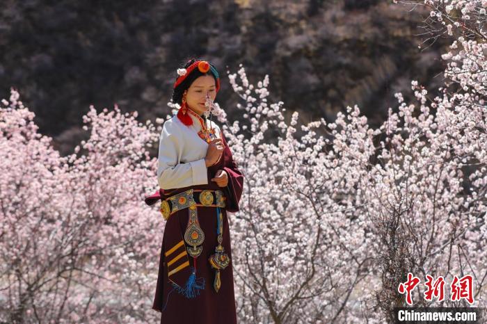 白玉縣河坡鎮(zhèn)桃花林間身穿民族服飾的藏族女孩?！“子袢诿?攝