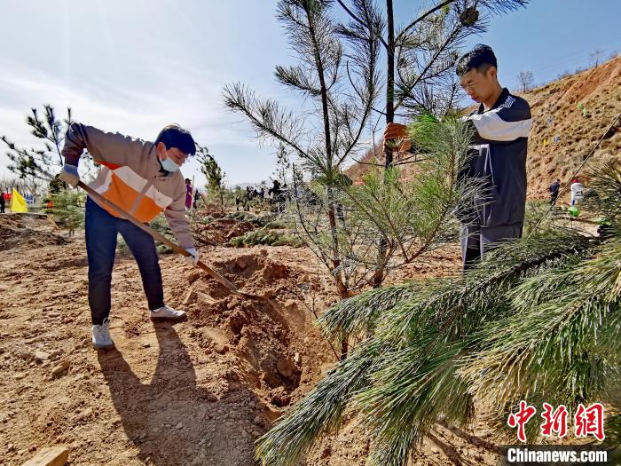 圖為西寧市城東區(qū)義務(wù)植樹活動現(xiàn)場?！?zhí)砀?攝