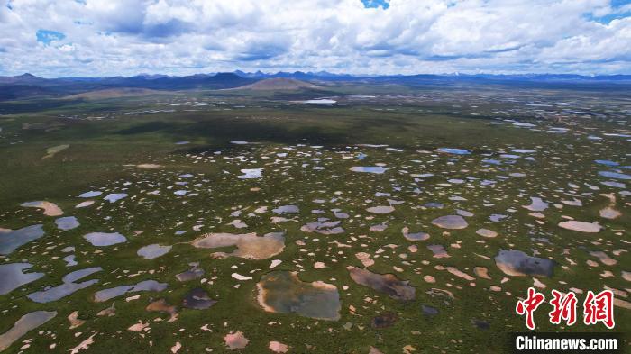 青海整治侵占、污染、破壞濕地類型自然保護地