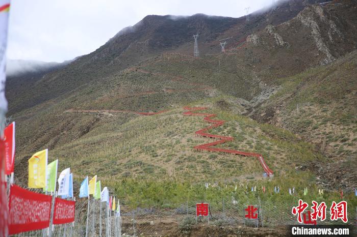 圖為拉薩南北山綠化工程拉薩曲水縣才納村5號片區(qū)?！∝暣_ 攝