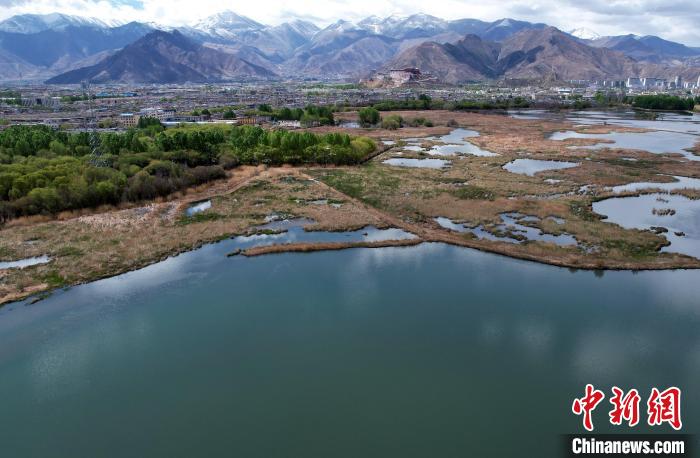 圖為拉薩拉魯濕地。(無(wú)人機(jī)照片) 李林 攝