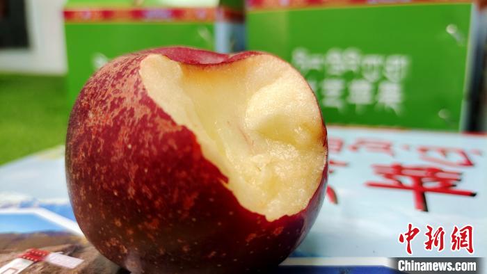 圖為通麥村特色甜心蘋(píng)果?！∝暽＠?攝