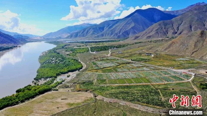 圖為桑日縣葡萄種植基地。　山南桑日縣委宣傳部提供