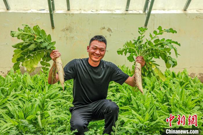 西藏阿里門士邊境派出所民警兼職大棚種植、豐富牧民餐桌