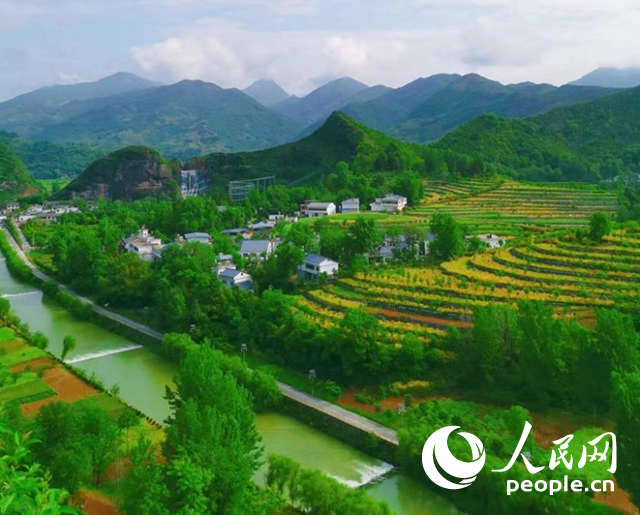 陜西商洛漫川關(guān)鎮(zhèn)民宿群。人民網(wǎng) 王麗攝