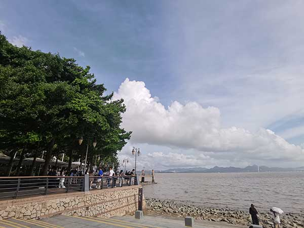 紅樹(shù)林灘涂沿線(xiàn)一角。人民網(wǎng)記者 張素玲攝