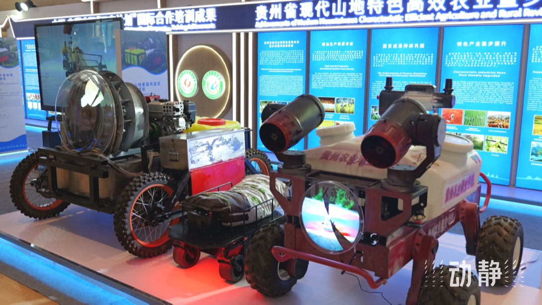 展示成果分享經(jīng)驗，中國—東盟教育交流周深化合作共創(chuàng)未來！