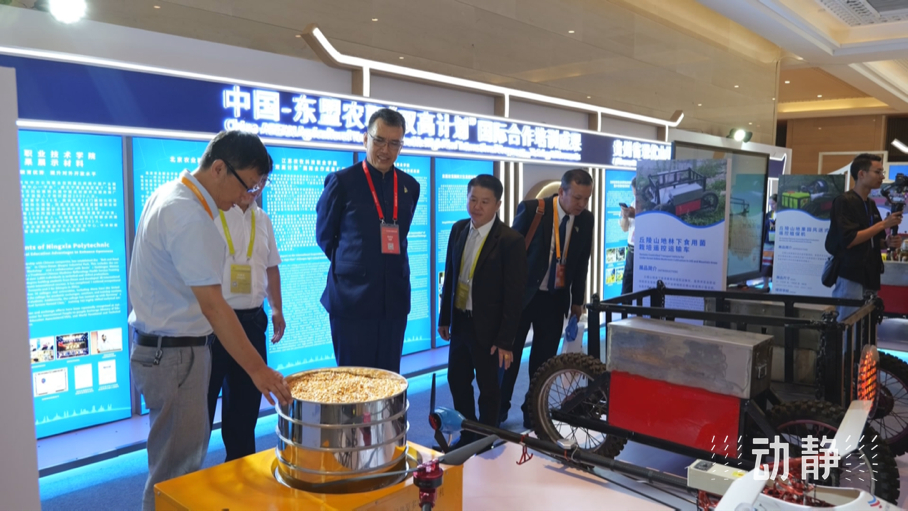 展示成果分享經(jīng)驗，中國—東盟教育交流周深化合作共創(chuàng)未來！