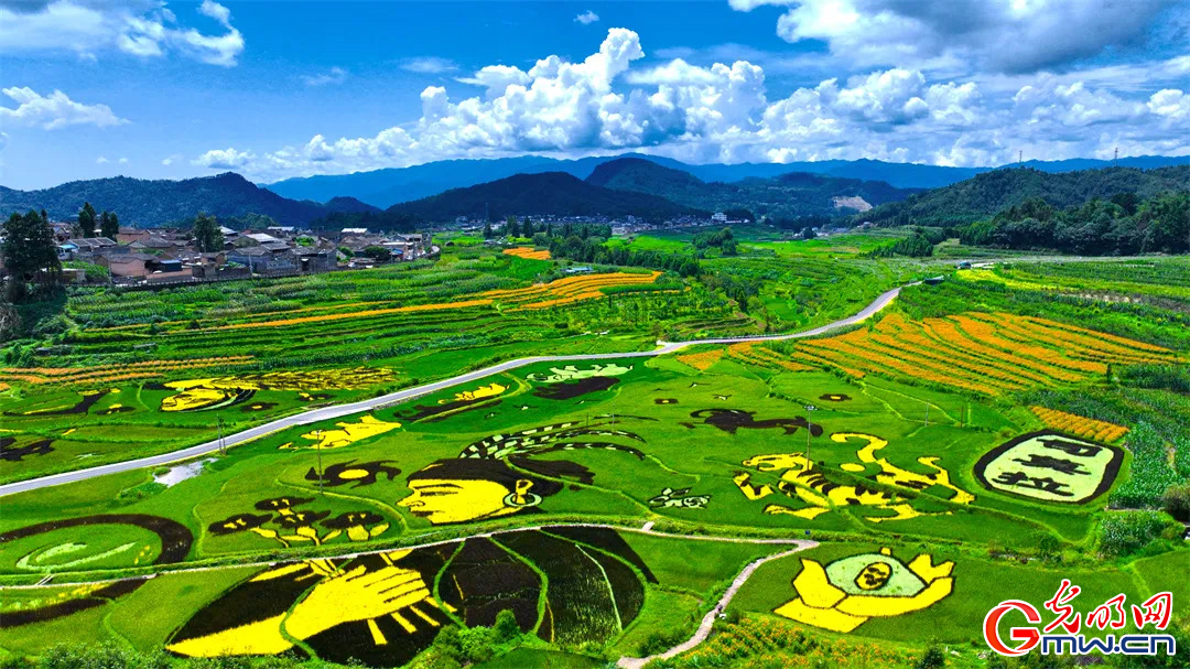 云南清水：延伸公共法律服務(wù)觸角，讓普法與民族團(tuán)結(jié)進(jìn)步互促共融