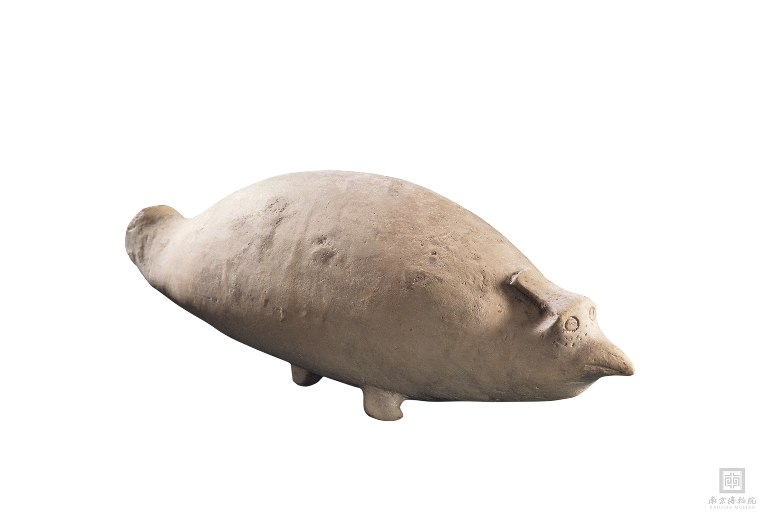 文化中國行 長江之歌丨微笑的江豚，從四千年前“游”來