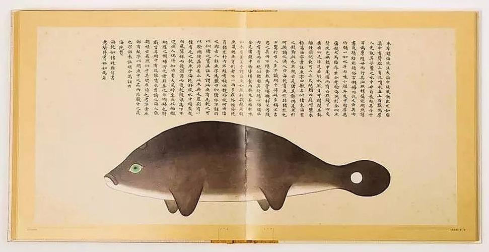 文化中國行 長江之歌丨微笑的江豚，從四千年前“游”來