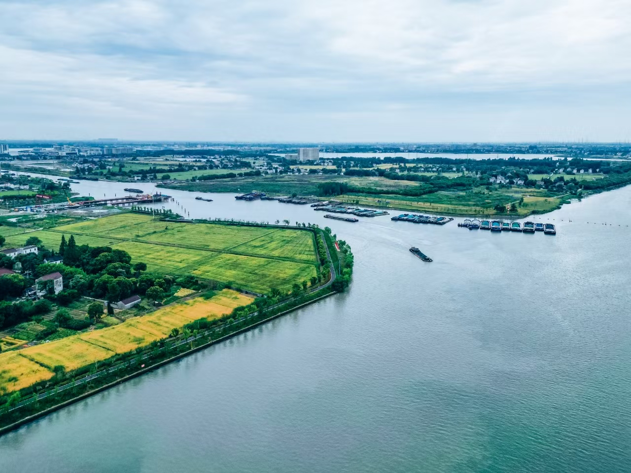 太浦河沿岸好風(fēng)光。吳橫軒攝