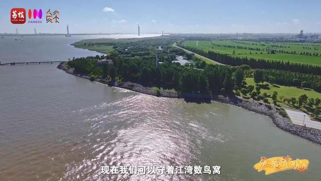 “縣”在起筆 青綠繪江山 | 江灣沐曉：褪去“銹色”走“金線”，繡出生態(tài)與產(chǎn)業(yè)“雙面錦”