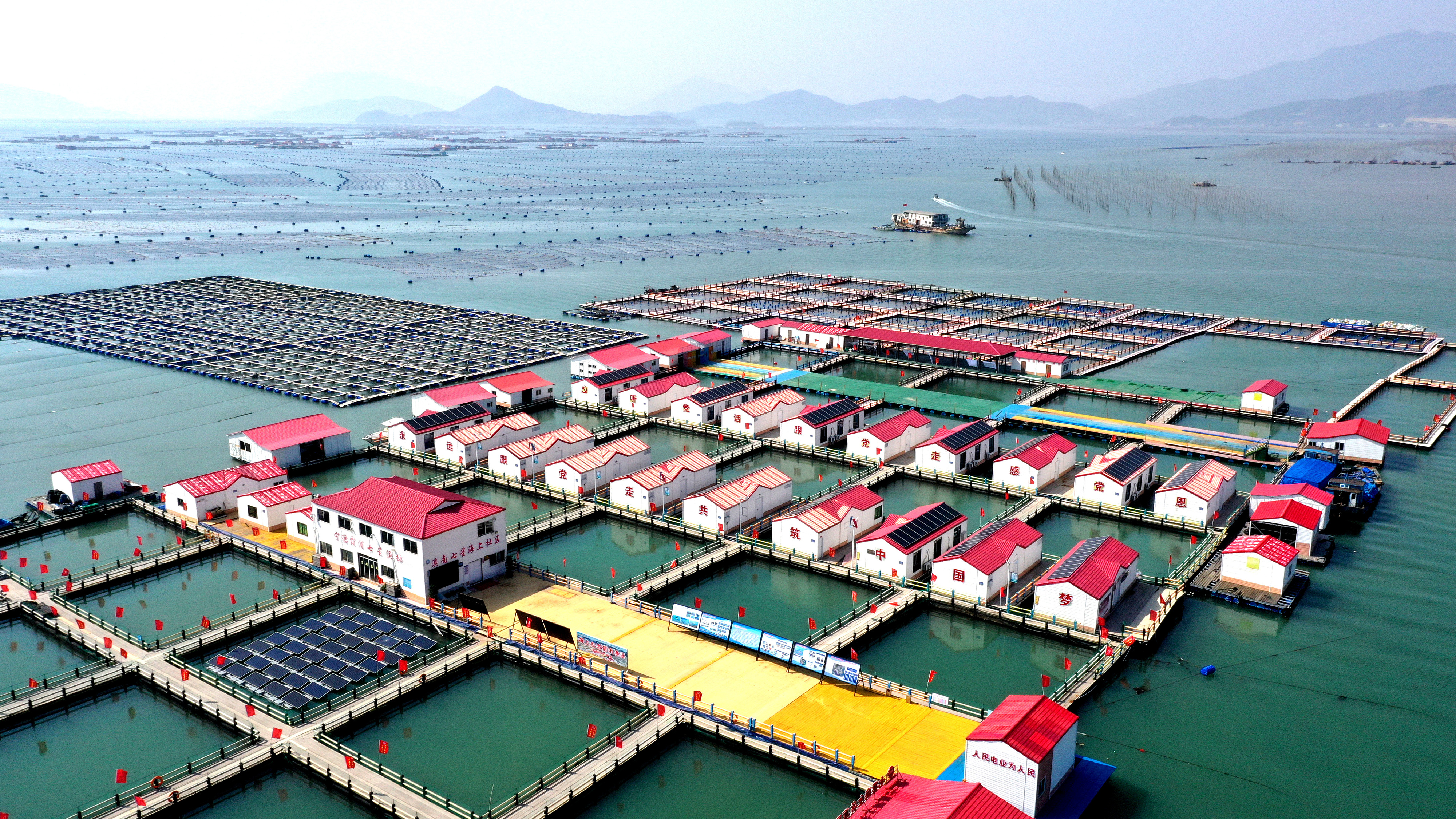 2024年3月20日，福建省寧德市，霞浦縣溪南鎮(zhèn)七星村漁排養(yǎng)殖示范區(qū)，漁民駕駛養(yǎng)殖船進(jìn)行海參養(yǎng)殖作業(yè)。