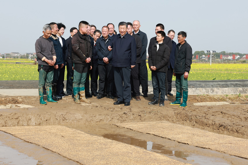 2024年3月18日至21日，中共中央總書記、國家主席、中央軍委主席習近平在湖南考察。這是19日下午，習近平在常德市鼎城區(qū)謝家鋪鎮(zhèn)港中坪村走進田間，察看秧苗培育和春耕備耕進展。新華社記者 王曄 攝