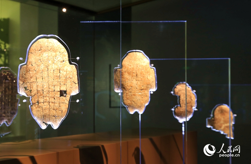 殷墟博物館展出的甲骨文。人民網(wǎng)記者 慎志遠(yuǎn) 攝