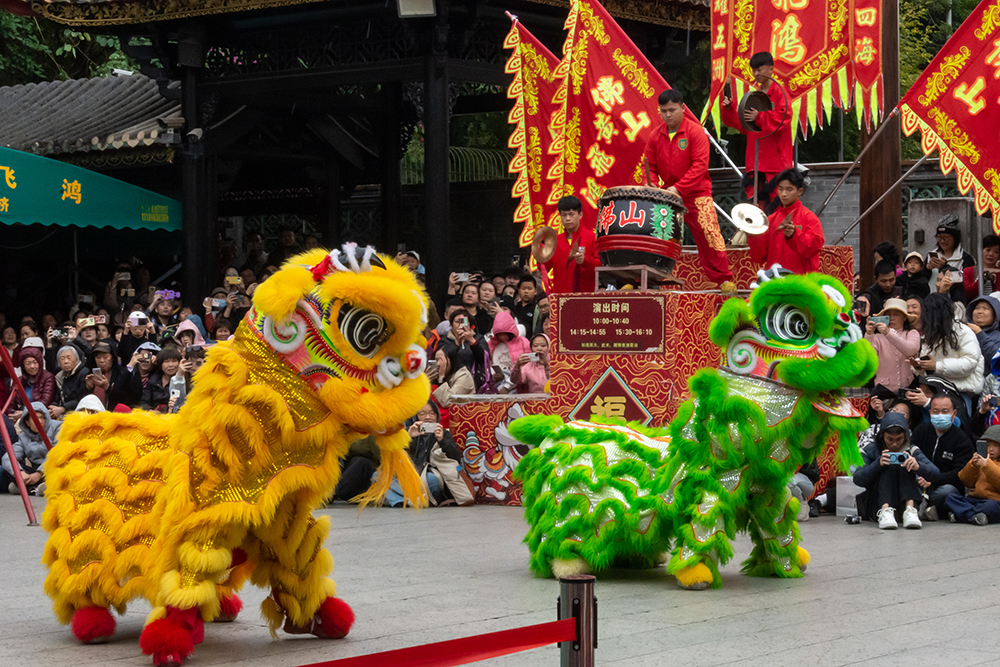 圖為廣東省佛山市祖廟的醒獅表演。