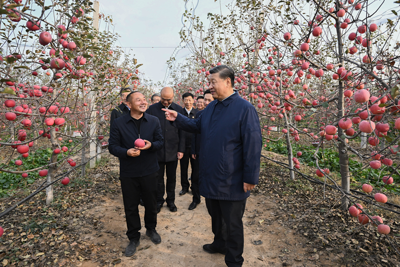 2022年10月26日，習近平總書記在陜西省延安市安塞區(qū)高橋鎮(zhèn)南溝村的蘋果園里同老鄉(xiāng)們親切交流。