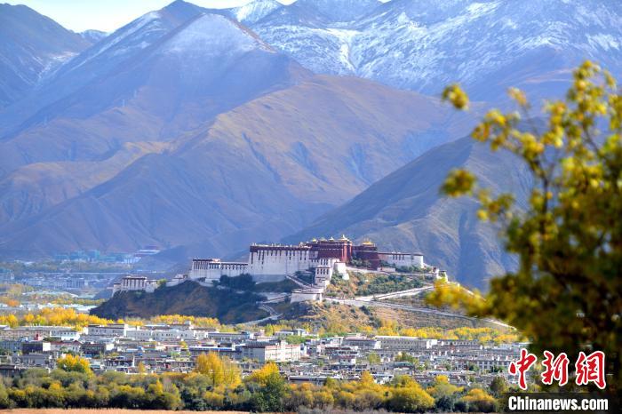 10月24日，雪山、布達拉宮和秋色組成“風(fēng)景畫”?！〗w波 攝
