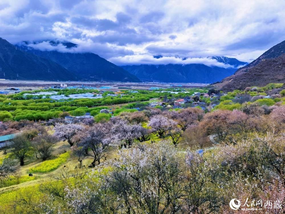 桃花從中的“童話小鎮(zhèn)”。人民網(wǎng) 李海霞攝