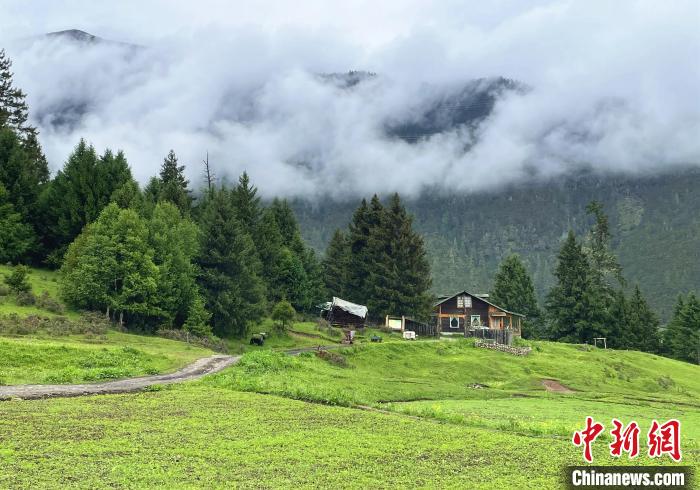 6月10日，魯朗小鎮(zhèn)高山牧場景區(qū)風(fēng)光?！∪轿木?攝