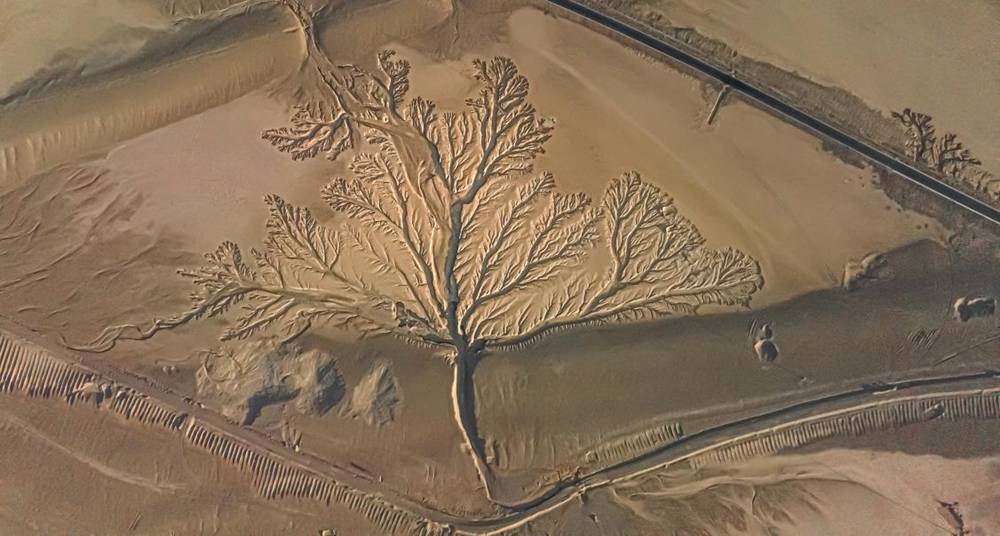 壯觀的“大地之樹”。邊巴多吉攝