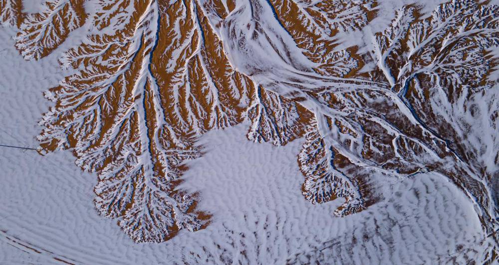 栩栩如生的枝干。邊巴多吉攝