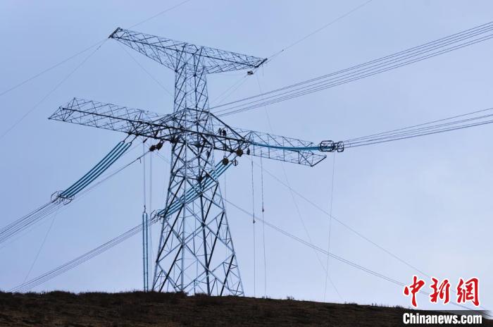 高原藏區(qū)電力線路建設(shè)者：高寒缺氧、扎刺掛彩是常事